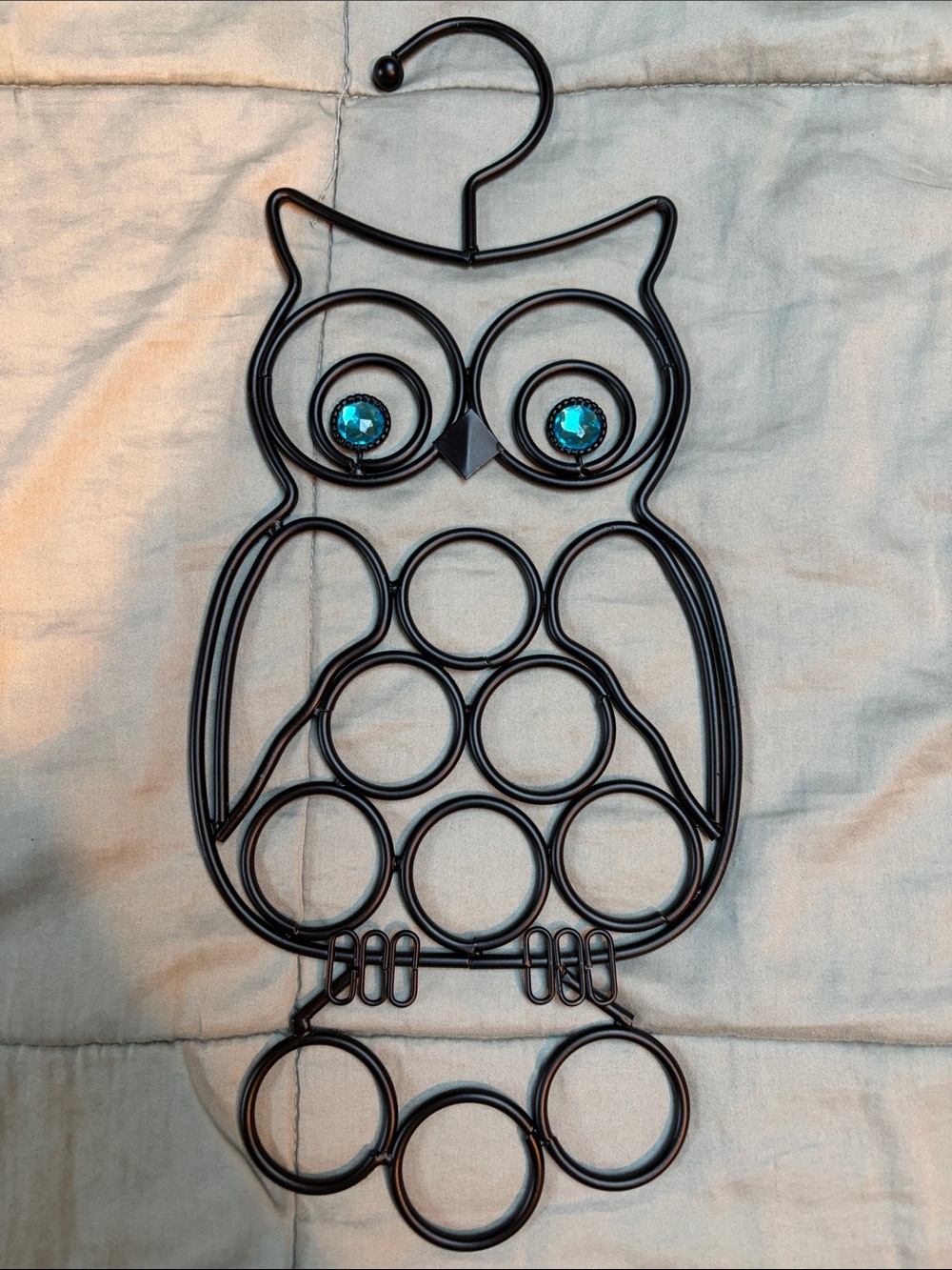 Black Owl Organizer with Teal Accent Eyes